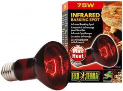 Zdjęcie Exo Terra ŻARÓWKA GRZEWCZA Infrared Basking Spot R20/75W - Katowice
