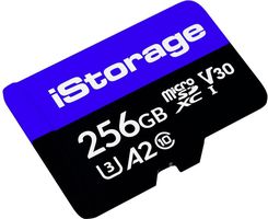 Karta Pamięci Microsd Istorage Is-Msd-1-256, 256 Gb