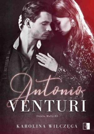 Antonio Venturi (E-book)