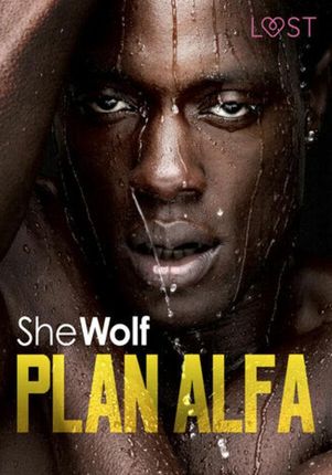 Plan Alfa – opowiadanie erotyczne (E-book)