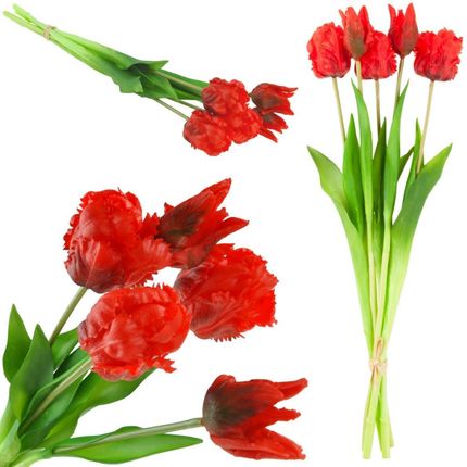 Martom Tulipany Tulipan Papuzie Bukiet Gumowane 5Szt Real 16729120516