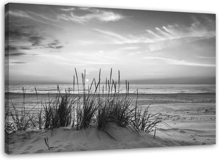 Obraz Na Płótnie Trawy Na Plaży Czarno-Biały 100x70