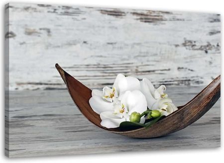 Obraz Na Płótnie Białe Kwiaty Storczyka 100x70