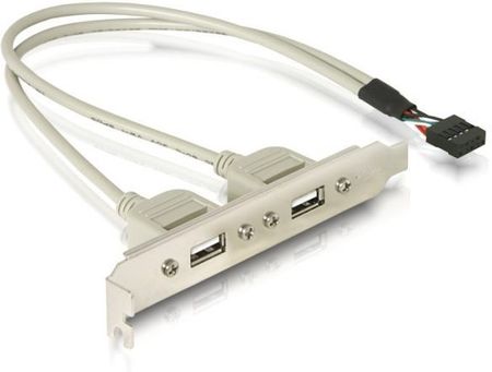 DeLOCK Slotbracket 1x internal USB 5pin > 2x USB2.0 external (71000)