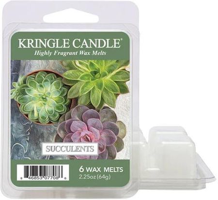 Kringle Candle Wosk Zapachowy Succulents Wax Melt 754120