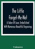Zdjęcie The Little Forget-Me-Not - Unknown - Niepołomice