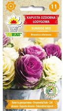 Zdjęcie Toraf Nasiona Kapusta Ozdobna Łod.Sunrise Mix 10Sz - Ozorków