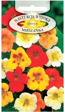 Zdjęcie Nasturcja Wysoka Duże Opakowanie - Nowy Dwór Mazowiecki