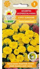 Zdjęcie Aksamitka Gypsy Sunshine Nasiona Kwiatów 1G Toraf - Prochowice