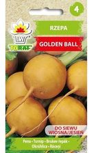 Zdjęcie Rzepa Gold Ball Nasiona Warzyw 10G Toraf - Tarczyn