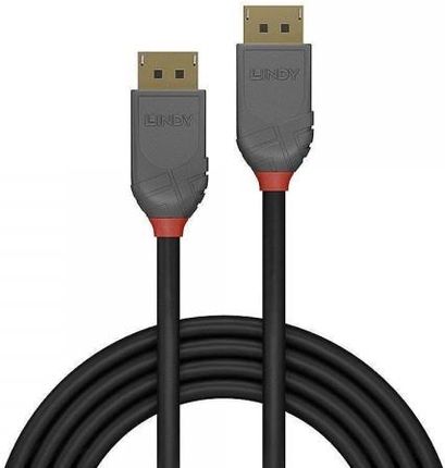 Lindy kabel display port 2m/anthra 36482 (32047)