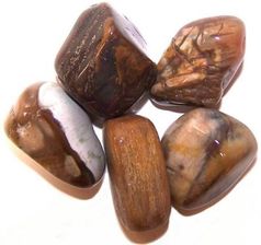 Kamień Naturalny Skamieniałe Drewno - Kamienie szlachetne i ozdobne