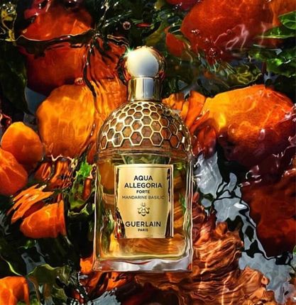 GUERLAIN アクアアレゴリア　125ml Amazon | ゲラン アクアアレゴリア マンダリンバジリック EDT SP