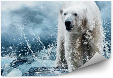 Fototapety.Pl Niedźwiedź Polarny Na Lodzie Wśród Kropel Wody Okleina Ścienna 250x250cm Fizelina