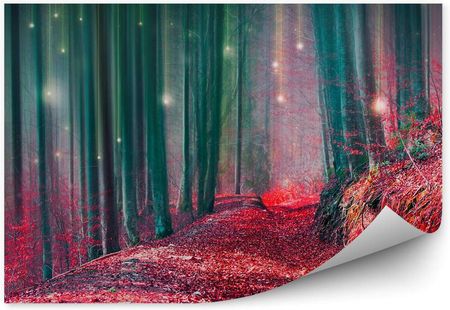 Fototapety.Pl Jesienny Magiczny Czerwony Las Światełka Drzewa Fototapeta Na Ścianę 250x250cm Magicstick