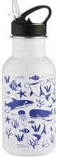 Zdjęcie Typhoon Butelka Termoaktywna 550ml Gift Box Sealife 1401765 - Człopa