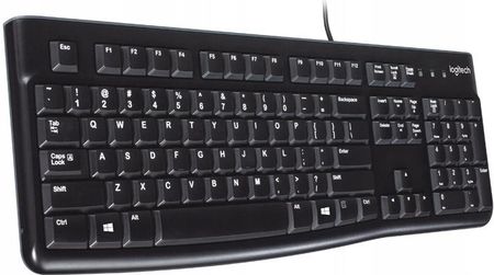 Klawiatura Logitech K120 (920-002485)