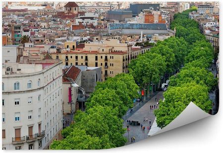 Fototapety.Pl Barcelona Budynki Drzewa Ludzie Widok Z Lotu Ptaka Okleina Ścienna 250x250cm Fizelina