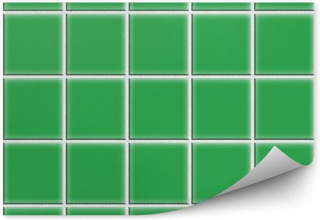 Zielone kafelki kratka wzór kostka białe tło Okleina ścienna Zielone kafelki kratka wzór kostka białe tło 250x250cm Fizelina