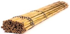 Zdjęcie Tyczki Bambusowe 210Cm 16/18Mm 50Szt. - Pionki
