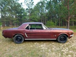 Ford Mustang Coupe 65 v8 manual cena Hot Deal