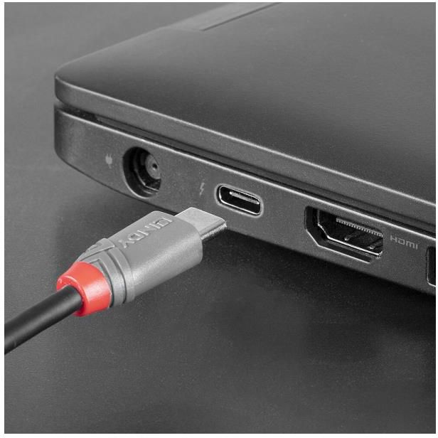 Cavo LINDY 36893 USB 2.0 Tipo C A Micro-USB B – 3 Metri, Nero - 3