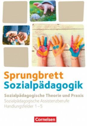 Sprungbrett Sozialpädagogik. Handlungsfeld 1-5: Sozialpädagogische Theorie und Praxis - Schülerbuch