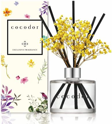 Cocodor Dyfuzor Zapachowy Szklany Vanilla And Sandalwood Flower 120 Ml 150551