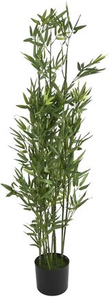 Kwiat Doniczkowy Oleander 123 Cm 314951