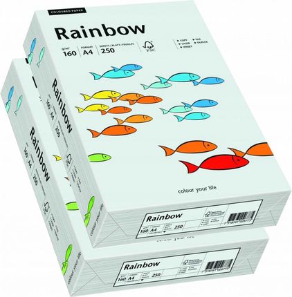 Rainbow Papier Ksero A4 160G 250Ark Jasny Szary X2
