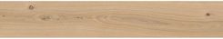 Zdjęcie Cersanit Gres Szkliwiony Orginal Wood Beige Mat 19,8x119,8 - Krynica-Zdrój