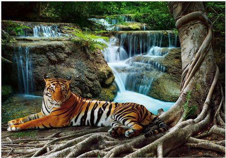 Consalnet Fototapeta Tygrys Wodospad 3D Dżungla 312x219