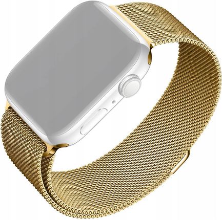 Fixed Mesh Apple watch 42/44/45 mm, gold (dec590a1)