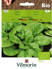 Zdjęcie Vilmorin Nasiona Szpinak Geant D Hiver Bio 10g - Iwonicz-Zdrój