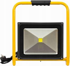 Zdjęcie Naświetlacz Led Cob Przenośny Np-50W Zimna - Pelplin