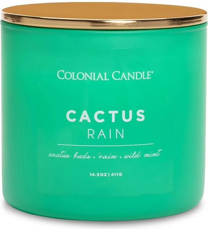 Colonial Candle Świeca Zapachowa Cactus Rain 411 G 324449991632046