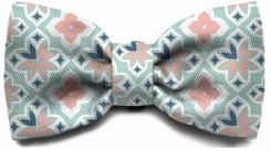 Zdjęcie Zee Dog Muszka Dla Psa Marcuch S - Sośnicowice