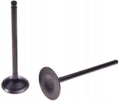 Zdjęcie Motogeneric Zawór Ssący + Wydechowy Zongshen Cross 250 - Łazy