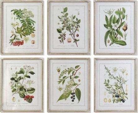 DKD HOME DECOR OBRAZ ROŚLINY BOTANICZNE (55 X 2 X 70 CM) (6 SZTUK)