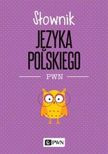 Zdjęcie Słownik języka polskiego - Piechowice