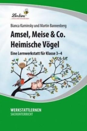 Amsel, Meise & Co: Heimische Vögel