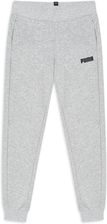 Zdjęcie Spodnie dresowe dziewczęce Puma ESS FL G szare 84759202 - Knyszyn