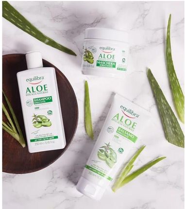 aloe vera dht blocker Vanidox Carbonic Acid Shampoo for Men and Women with DHT Blockers - Made in USA