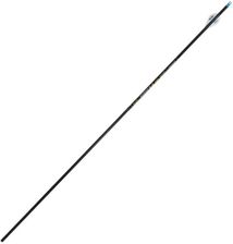 Zdjęcie Strzała z włókna węglowego Skylon Edge model 400 (A039812) - Toruń