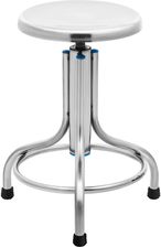 Zdjęcie Steinberg Systems Taboret Laboratoryjny Stal Nierdzewna 150kg Sbs Lf 100 - Żagań