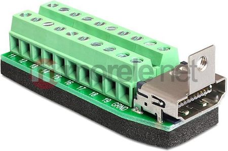 DeLOCK Adapter HDMI female > Terminal Block 20pin (65168)