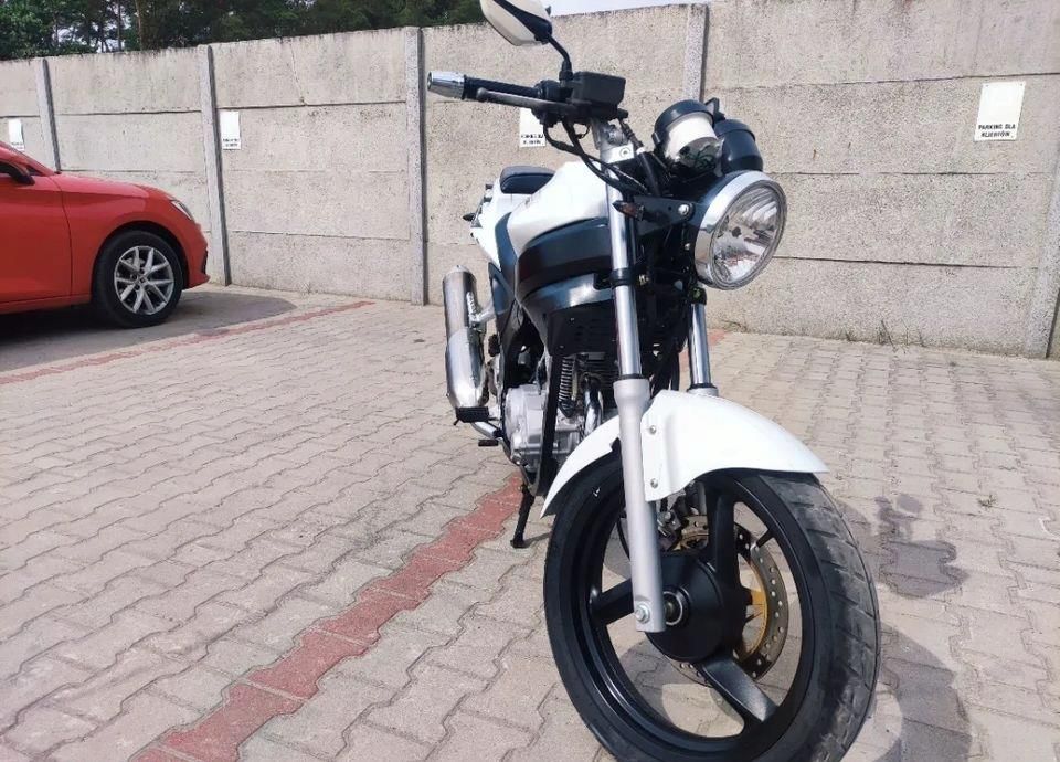 Daelim Roadwin - zdjęcie 7 Daelim Roadwin