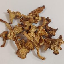 Zdjęcie Rafex Kurka suszona pieprznik 1kg - Parczew