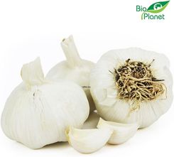 Zdjęcie CZOSNEK ŚWIEŻY BIO (około 0,20 kg) - Opatów