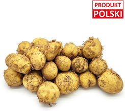 Zdjęcie Ziemniaki ekologiczne żółte młode 10kg - Tarnobrzeg